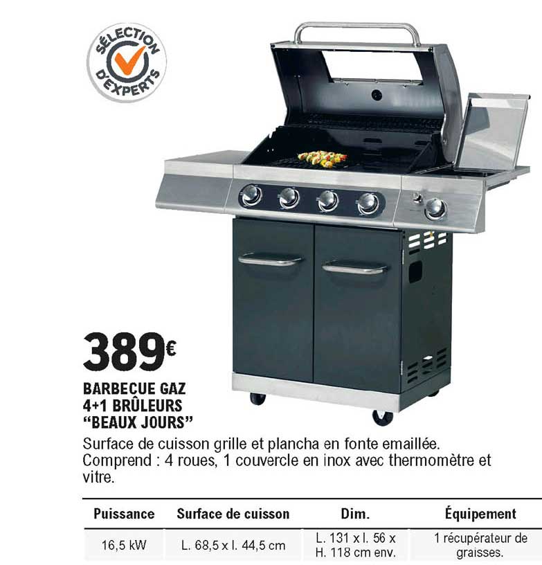 barbecue gaz 4+1 brûleurs beaux jours