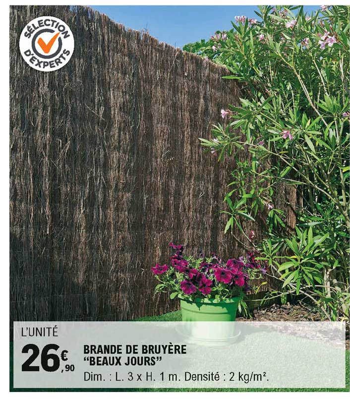 brande de bruyère beaux jours