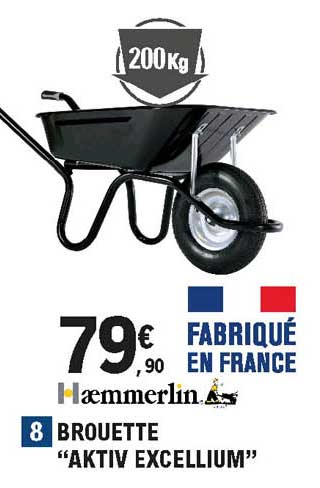 brouette "aktiv excellium" hammerlin