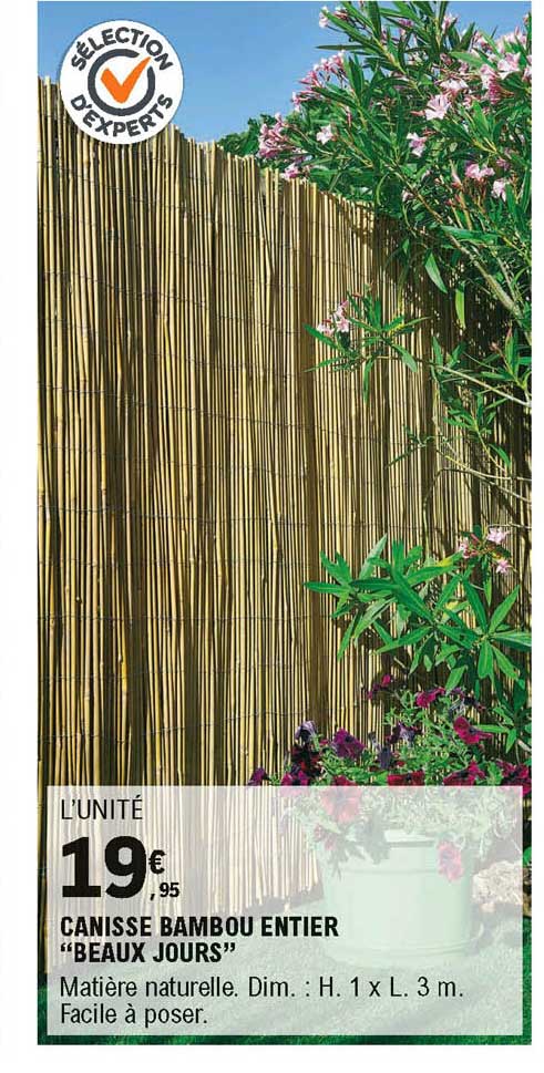 canisse bambou entier beaux jours