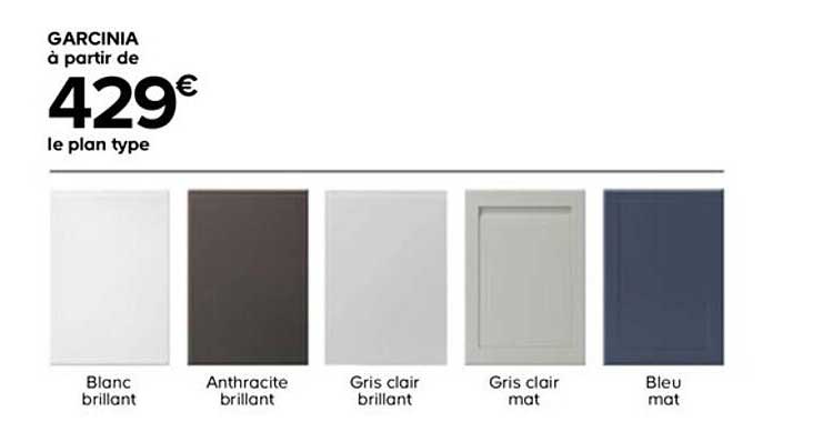 garcinia le plan type