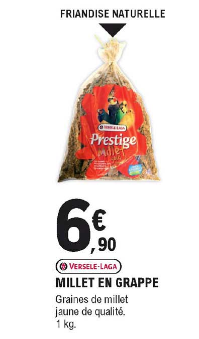 Millet En Grappe