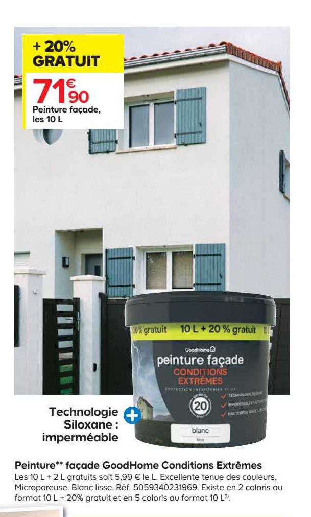 peinture façade goodhome conditions extrêmes