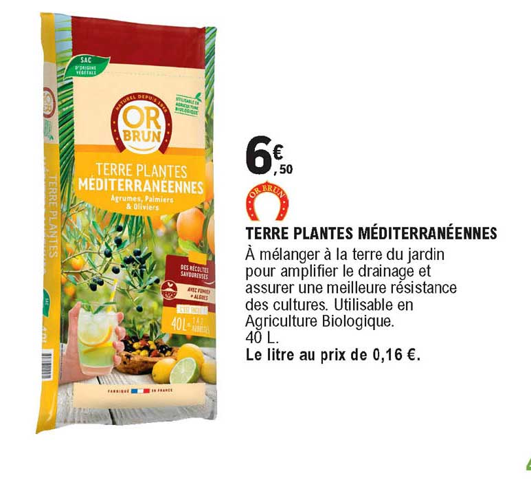 terre plantes méditerranéennes