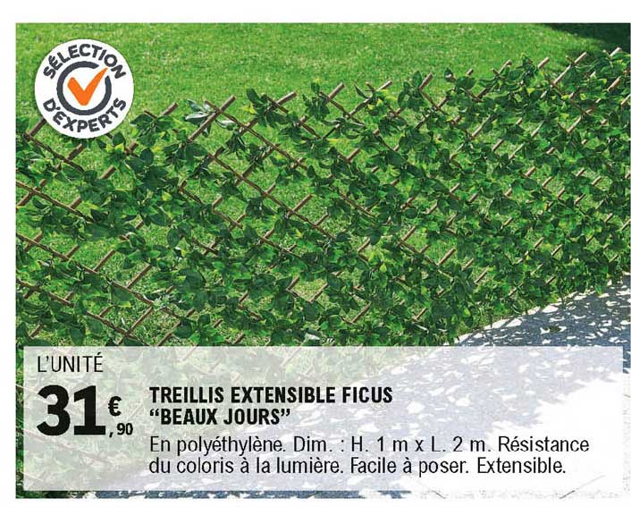 treillis extensible ficus beaux jours