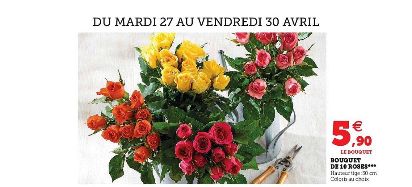 Bouquet De 10 Roses