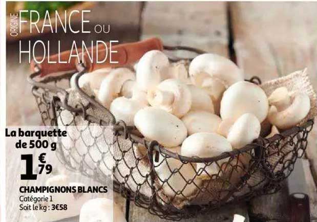 Champignons Blancs
