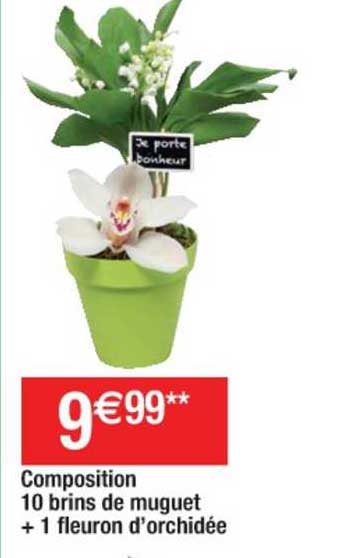 Composition 10 Brins De Muguet + 1 Fleuron D'orchidée