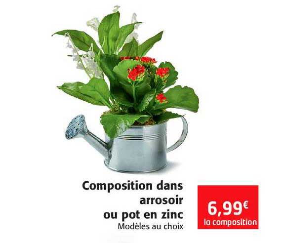 composition dans arrosoir ou pot en zinc