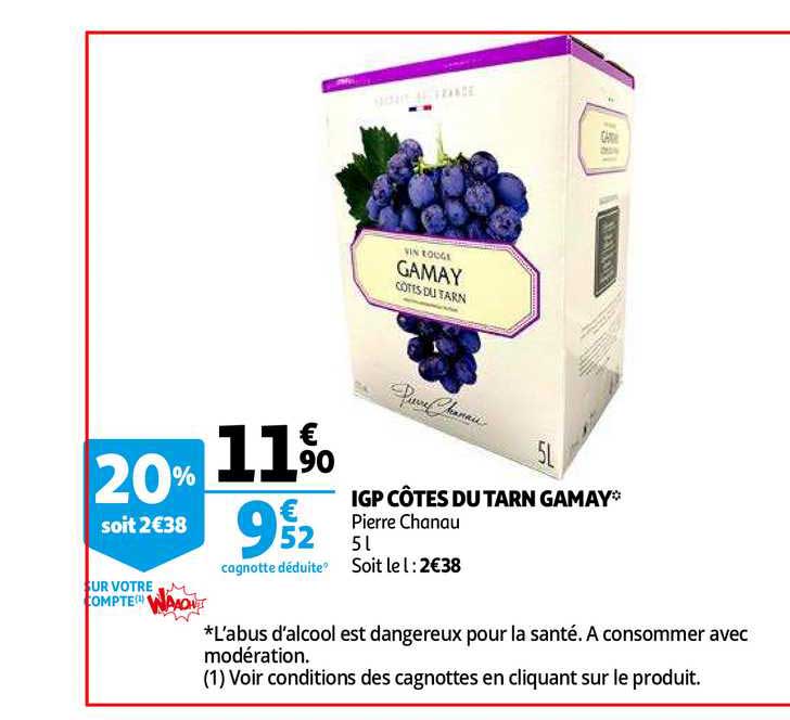 igp côtes du tarn gamay pierre chanau