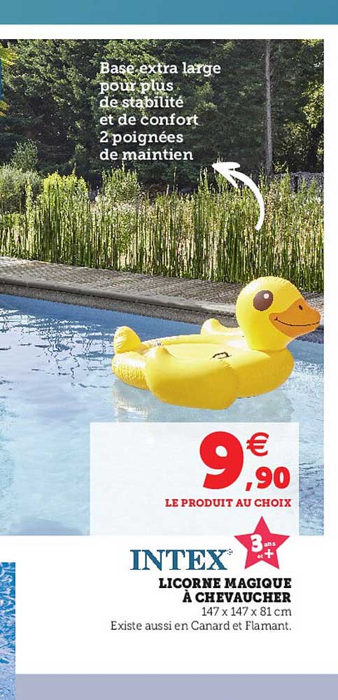 licorne magique à chevaucher intex