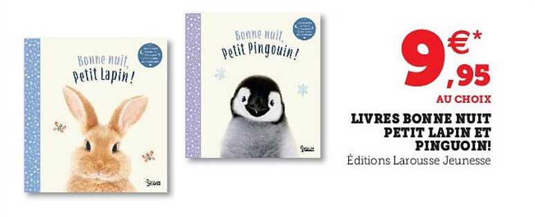 Livres Bonne Nuit Petit Lapin Et Pinguoin!