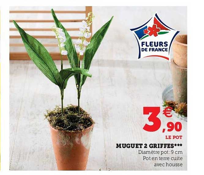 muguet 2 griffes