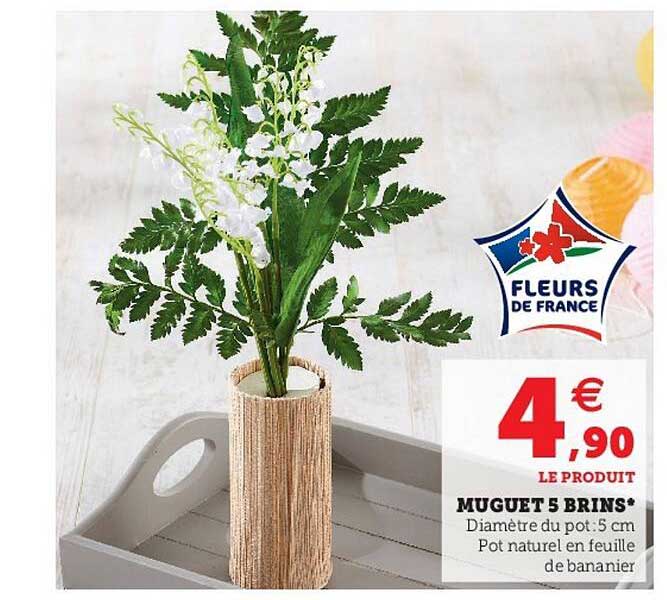 muguet 5 brins