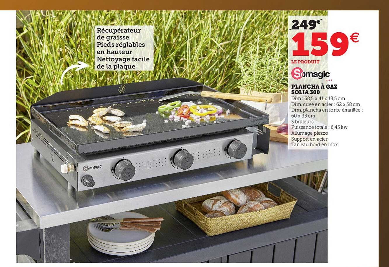 plancha à gaz solia 300 somagic