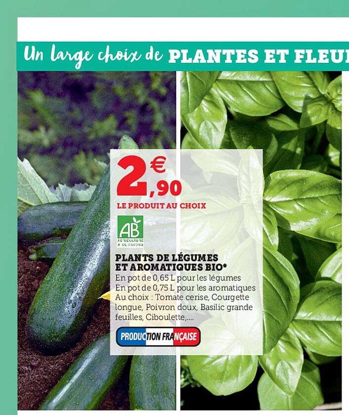 plants de légumes et aromatiques bio