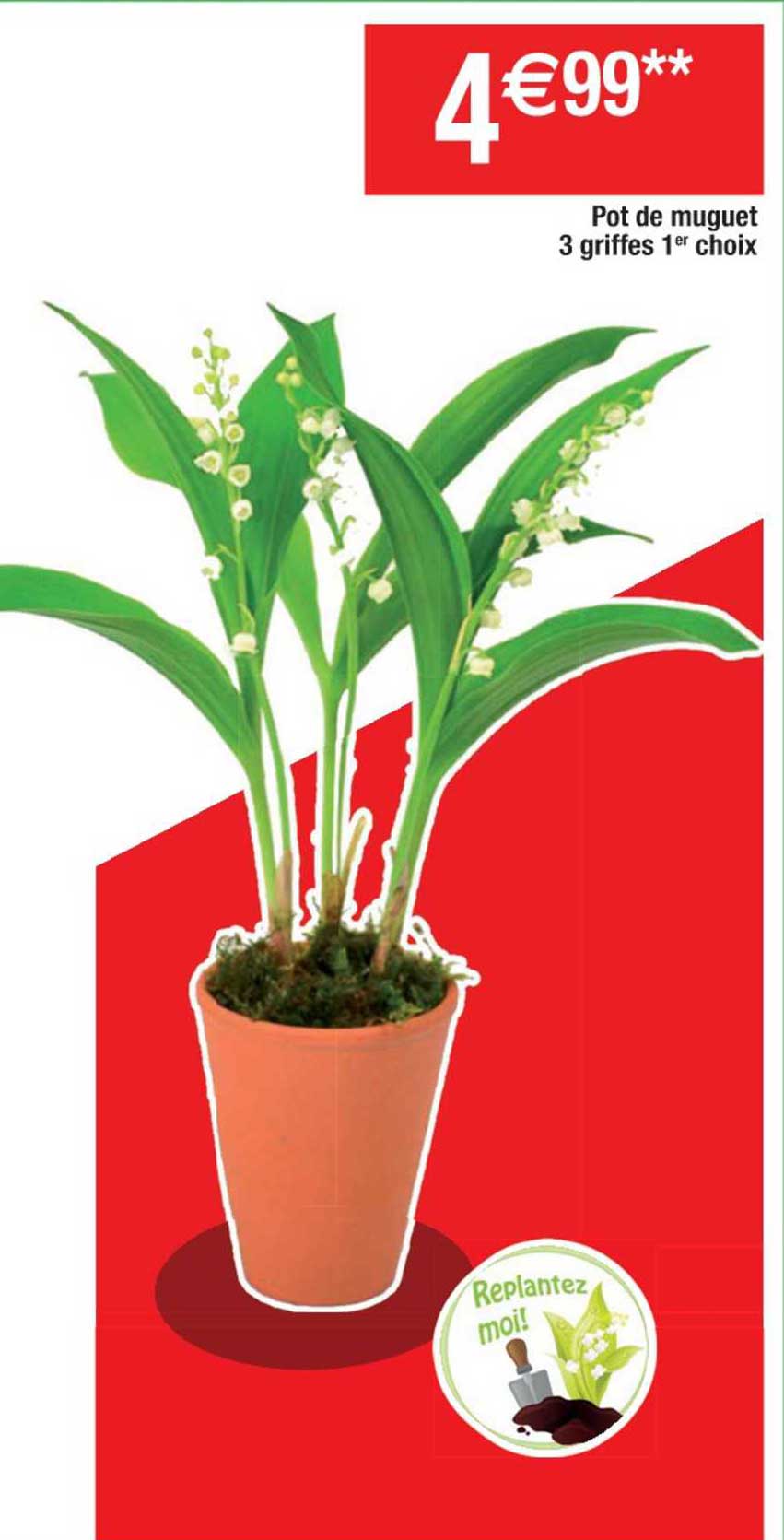 pot de muguet 3 griffes 1er choix