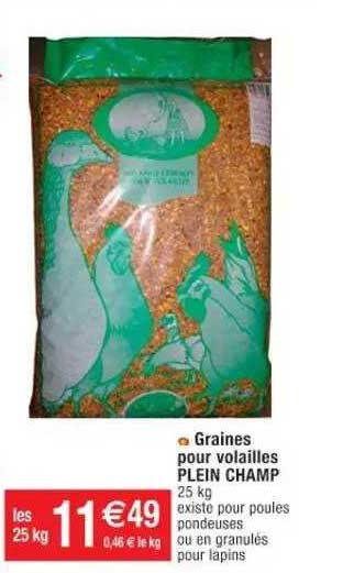 graines pour volailles plein champ