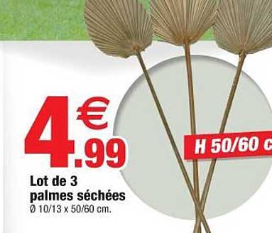 lot de 3 palmes séchées