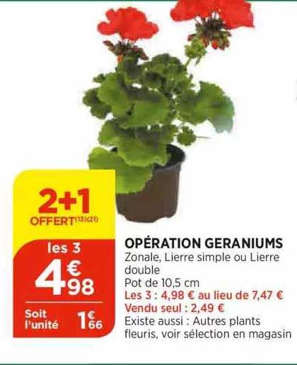 opération géraniums