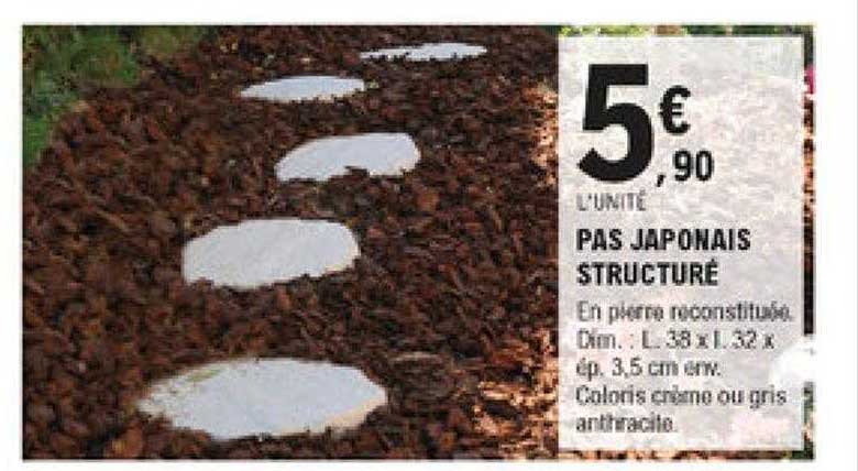 pas japonais structuré