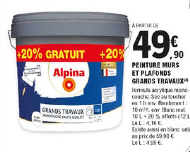 peinture murs et plafonds grands travaux