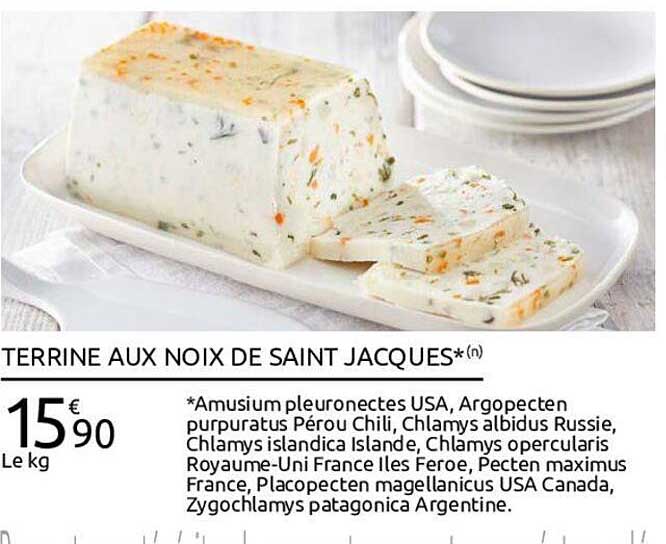 terrine aux noix de saint jacques