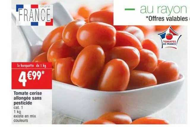 tomate cerise allongée sans pesticide