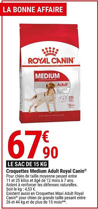 croquettes medium adult royal canin