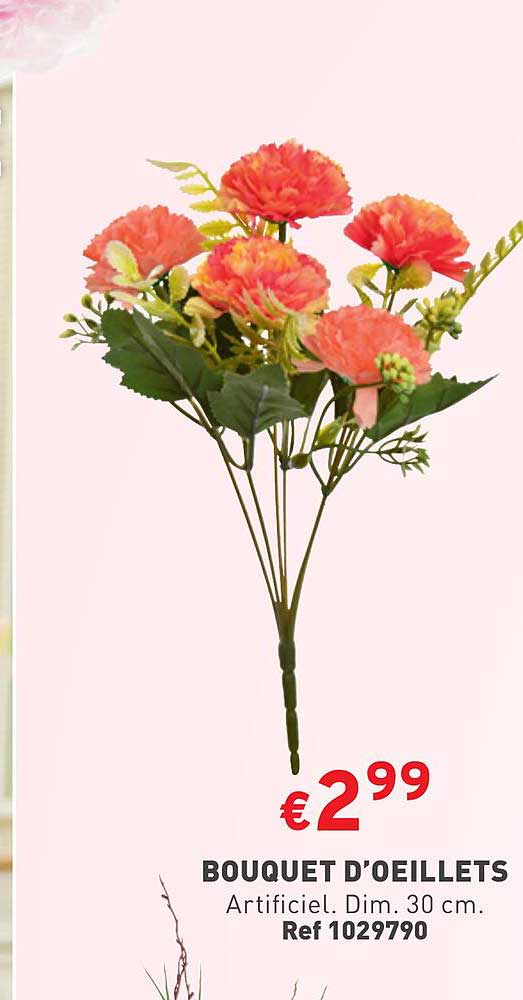 bouquet d’œillets