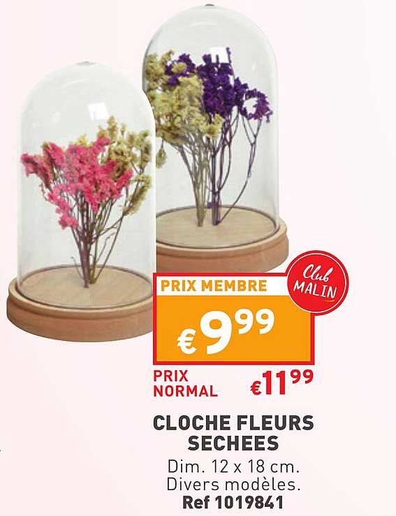 Cloche Fleurs Séchées