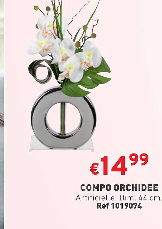 compo orchidee