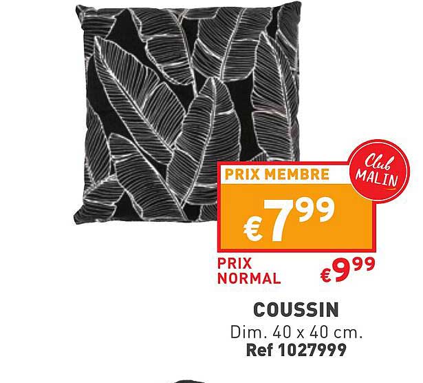 Coussin