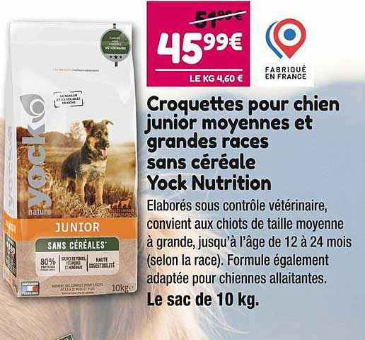 croquettes pour chien junior moyennes et grandes races sans céréales yock nutrition