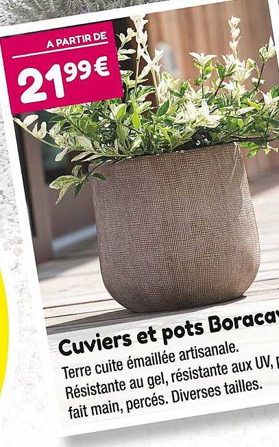 cuviers et pots boracay