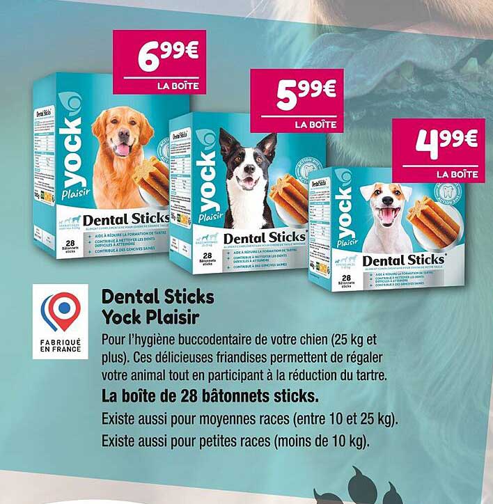 dental sticks yock plaisir