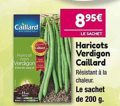 haricots ver digon caillard