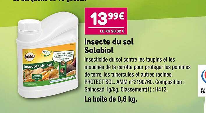 insecte du sol solabiol