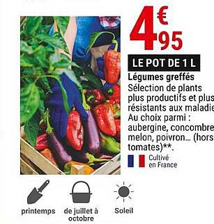 légumes greffés