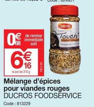 mélange d'épices pour viandes rouges ducros foodservice