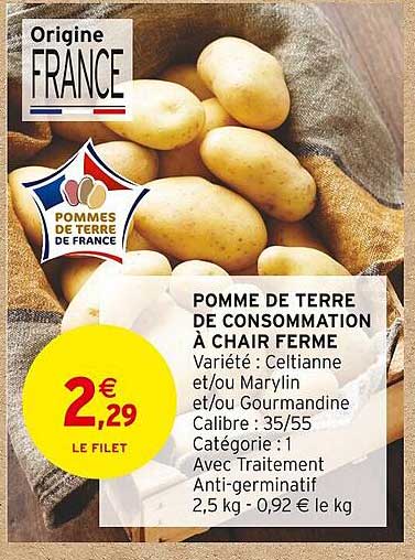 Pomme De Terre De Consommation à Chair Ferme