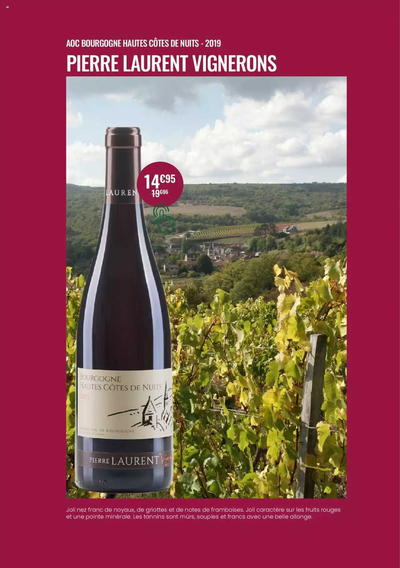 aoc bourgogne hautes côtes de nuits 2019 pierre laurent vignerons