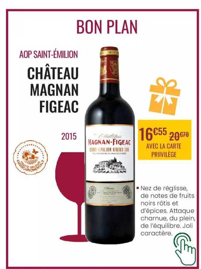 aop saint-émilion château magnan figeac