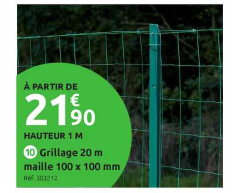 Grillage 20 M Maille 100 X 100 Mm