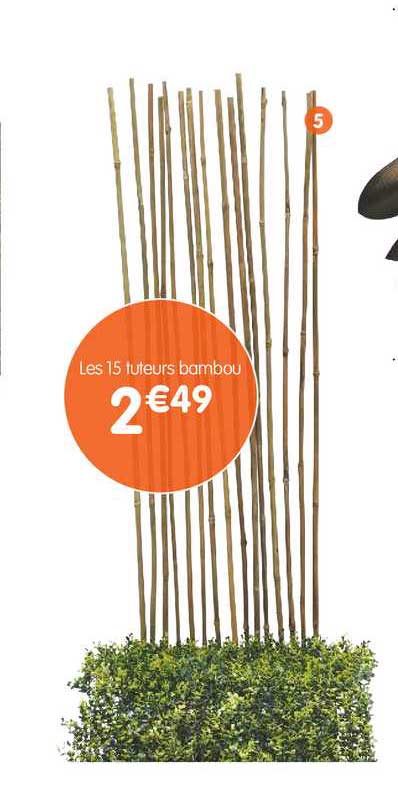 les 25 tuteurs bambou