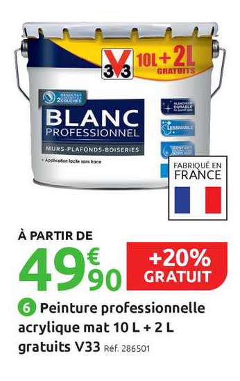 peinture professionnelle acrylique mat 10 l + 2 l gratuits v33