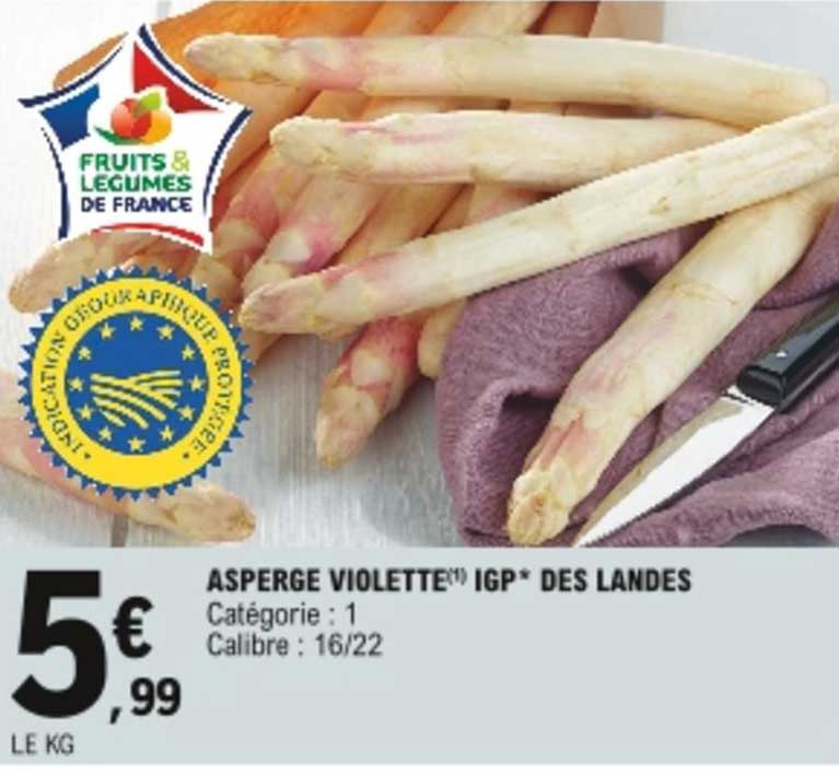 asperge violette igp des landes