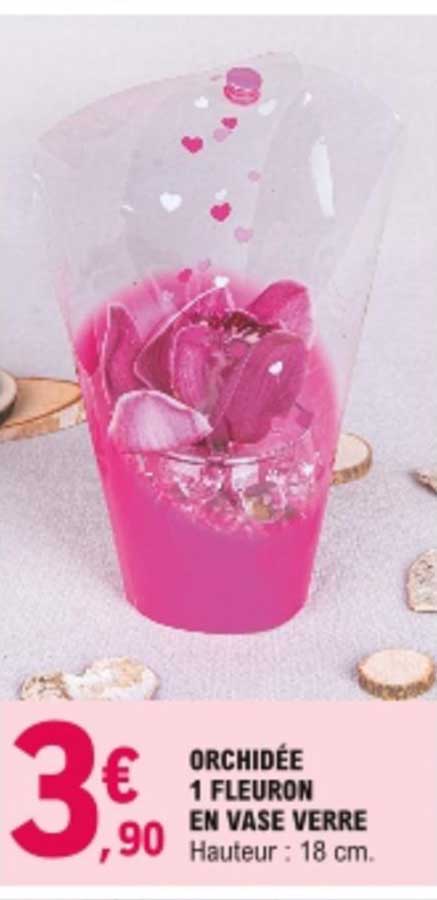 orchidée 1 fleuron en vase verre