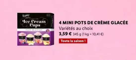 4 mini pots de crème glacée