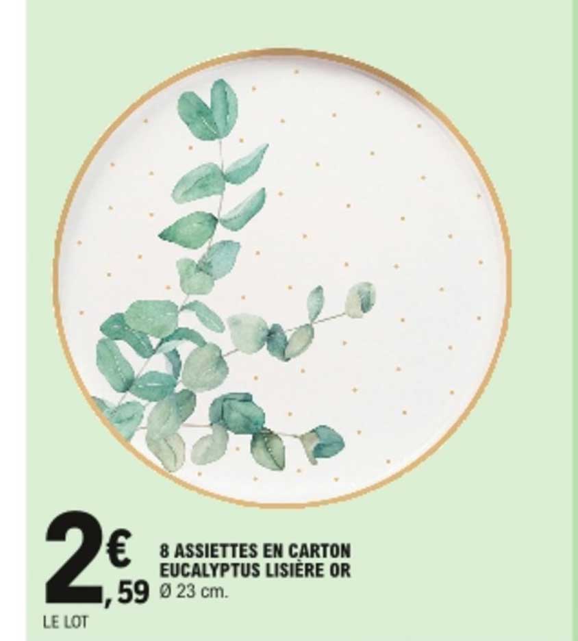 8 assiettes en carton eucalyptus lisière or